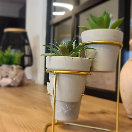 Jk Luxury Old Town דירה *